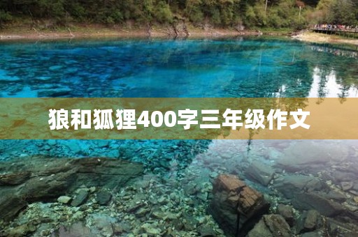 狼和狐狸400字三年级作文