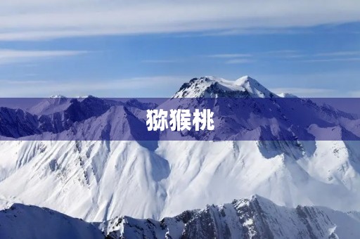 猕猴桃,我想你350字 猕猴桃,我想你350字