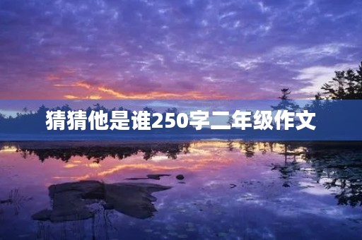 猜猜他是谁250字二年级作文