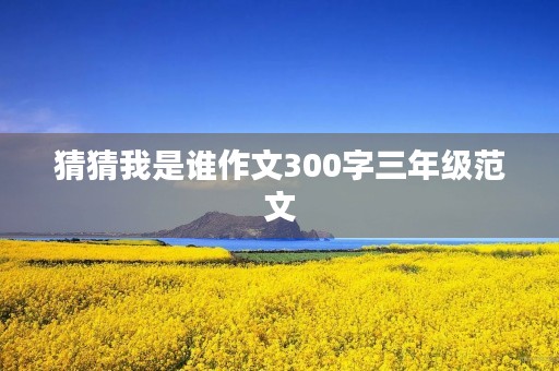 猜猜我是谁作文300字三年级范文 猜猜我是谁作文300字三年级范文