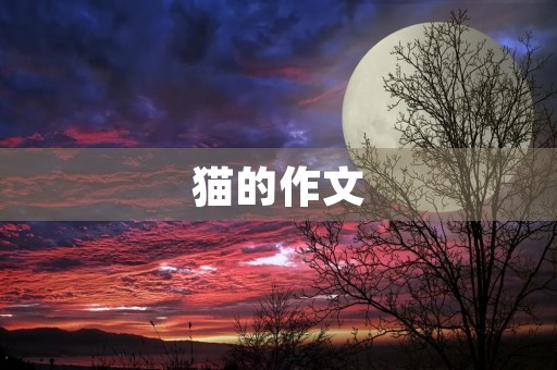 猫的作文 猫的作文