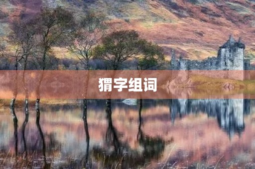 猬字组词(猬组词) 猬字组词(猬组词)