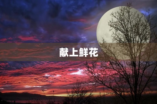 献上鲜花，缅怀革命先烈——我的扫墓之旅