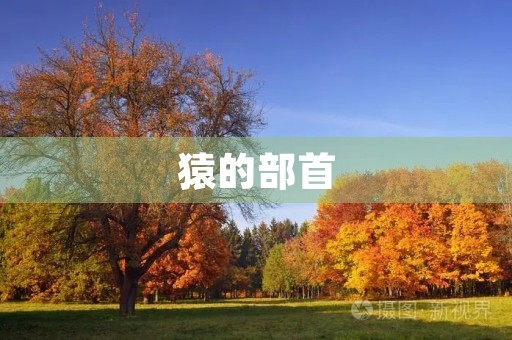 猿的部首(猿组词)