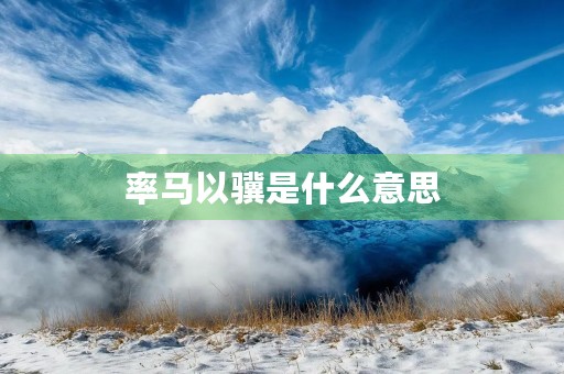 率马以骥是什么意思 率马以骥是什么意思