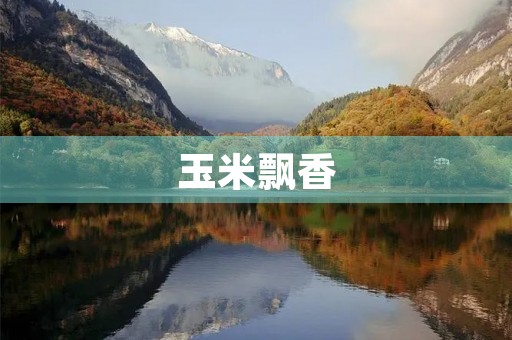 玉米飘香