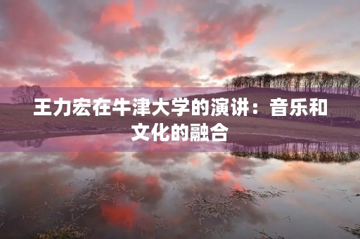 王力宏在牛津大学的演讲:音乐和文化的融合 王力宏在牛津大学的演讲:音乐和文化的融合
