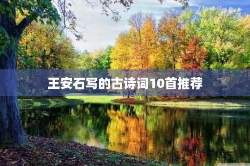 王安石写的古诗词10首推荐