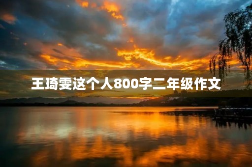 王琦雯这个人800字二年级作文 王琦雯这个人800字二年级作文