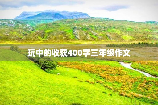 玩中的收获400字三年级作文