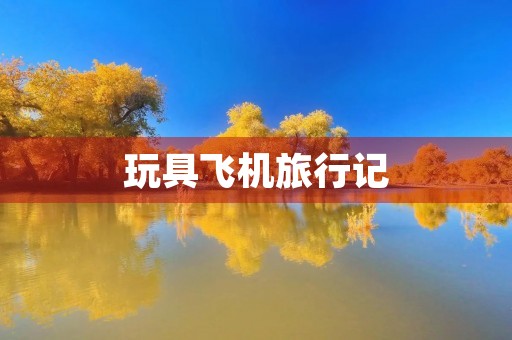 玩具飞机旅行记