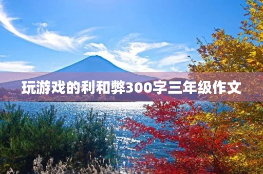 玩游戏的利和弊300字三年级作文 玩游戏的利和弊300字三年级作文