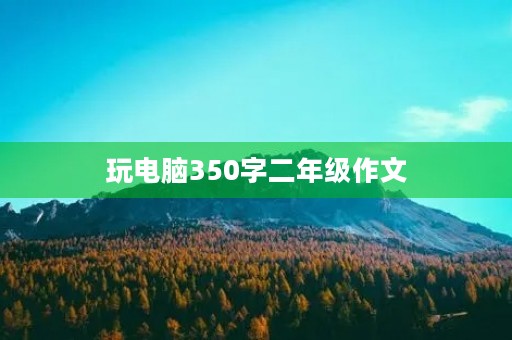 玩电脑350字二年级作文