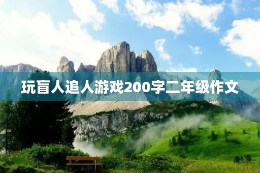 玩盲人追人游戏200字二年级作文