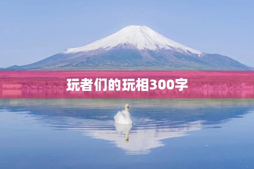 玩者们的玩相300字