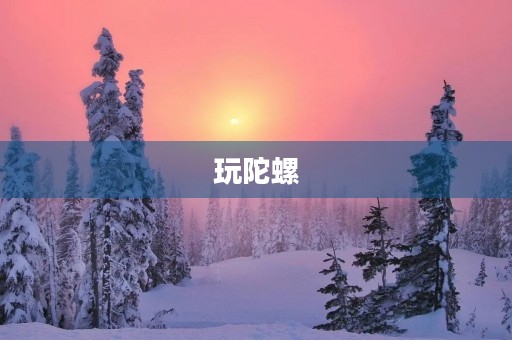 玩陀螺 玩陀螺