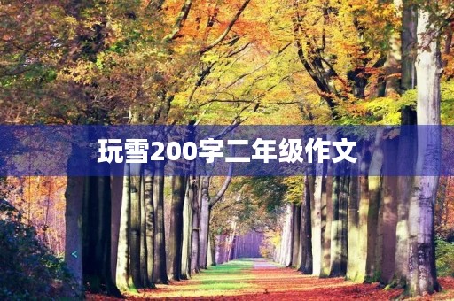 玩雪200字二年级作文 玩雪200字二年级作文
