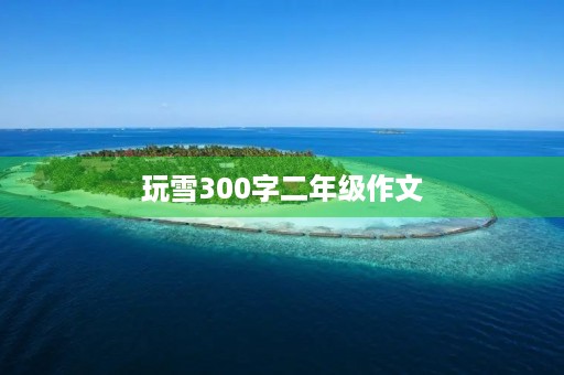 玩雪300字二年级作文