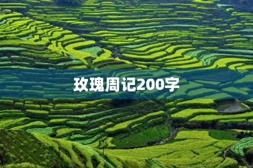 玫瑰周记200字 玫瑰周记200字