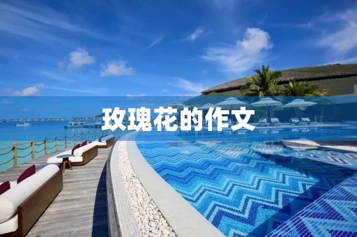 玫瑰花的作文 玫瑰花的作文