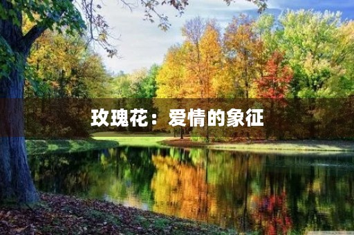 玫瑰花：爱情的象征