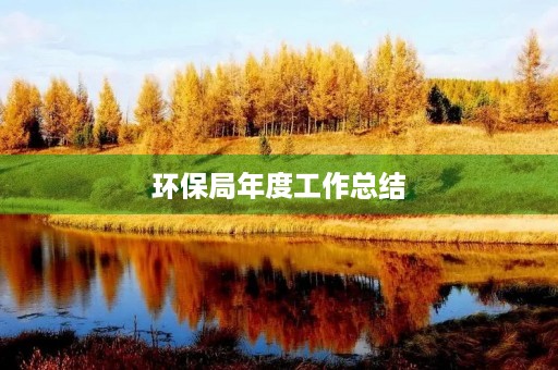 环保局年度工作总结