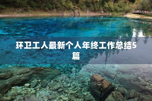 环卫工人最新个人年终工作总结5篇