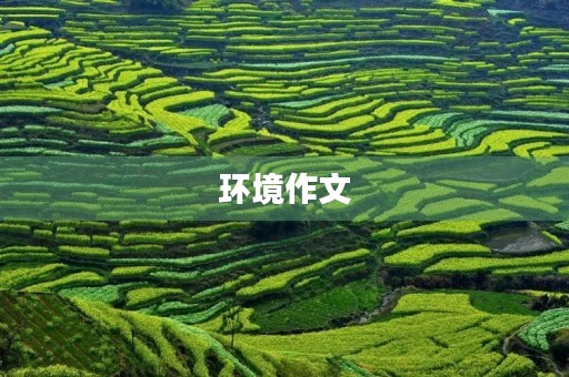 环境作文