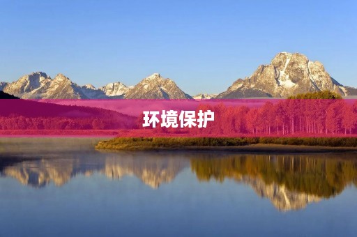 环境保护，人人有责