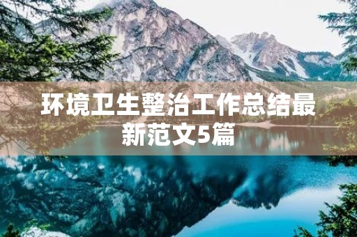 环境卫生整治工作总结最新范文5篇