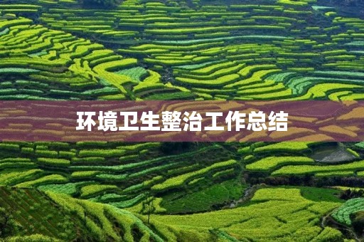环境卫生整治工作总结