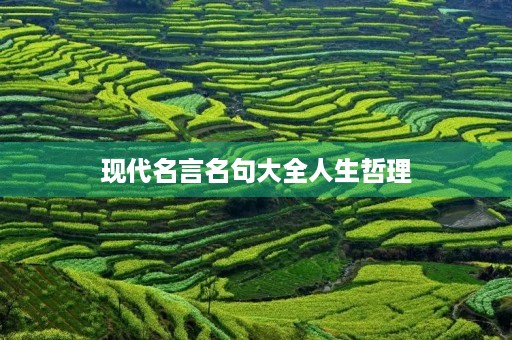 现代名言名句大全人生哲理(现代名言名句大全人生哲理摘抄)