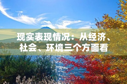 现实表现情况：从经济、社会、环境三个方面看