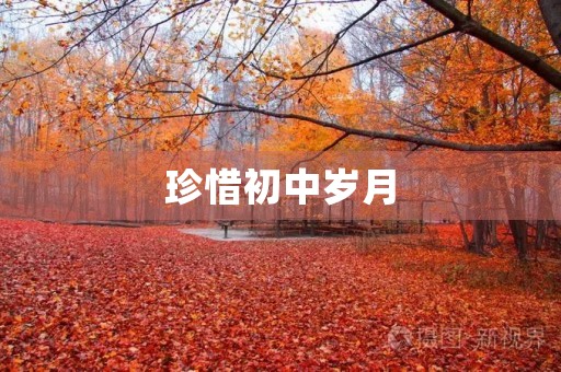 珍惜初中岁月 珍惜初中岁月
