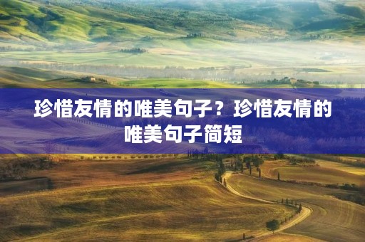 珍惜友情的唯美句子?珍惜友情的唯美句子简短 珍惜友情的唯美句子?珍惜友情的唯美句子简短