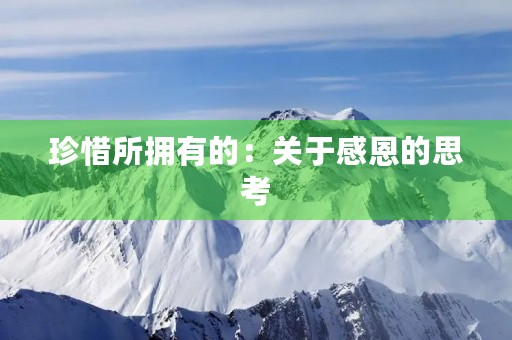 珍惜所拥有的:关于感恩的思考 珍惜所拥有的:关于感恩的思考