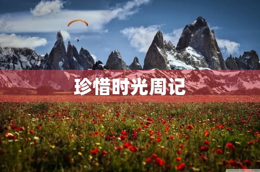 珍惜时光周记