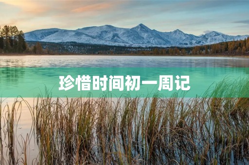 珍惜时间初一周记