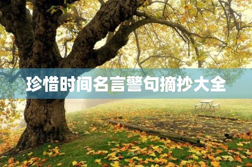 珍惜时间名言警句摘抄大全(珍惜时间名言警句摘抄大全小学生)