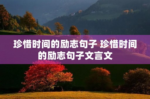 珍惜时间的励志句子 珍惜时间的励志句子文言文 珍惜时间的励志句子 珍惜时间的励志句子文言文