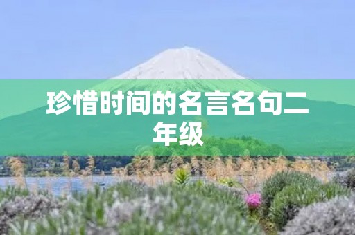 珍惜时间的名言名句二年级(珍惜时间的名言 二年级)