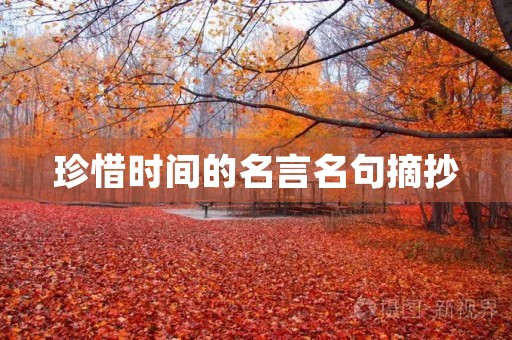 珍惜时间的名言名句摘抄，珍惜时间的名言名句摘抄短句
