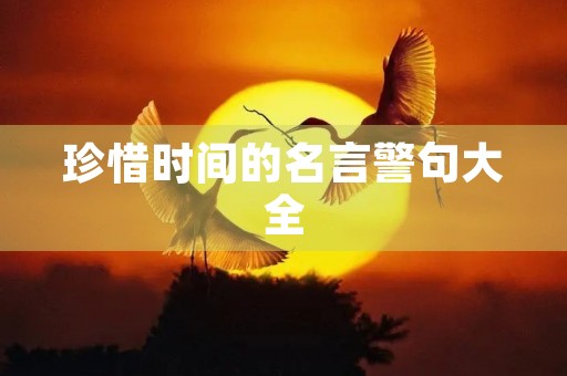 珍惜时间的名言警句大全(珍惜时间的名言警句大全短的)
