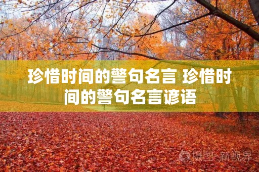 珍惜时间的警句名言 珍惜时间的警句名言谚语