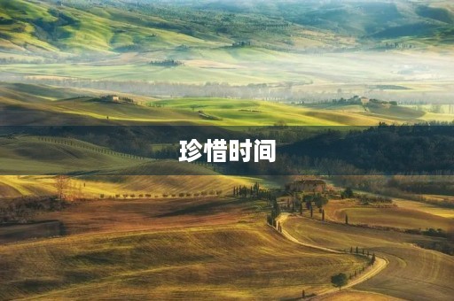 珍惜时间,成就未来 珍惜时间,成就未来