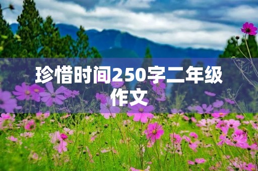 珍惜时间250字二年级作文