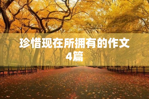 珍惜现在所拥有的作文4篇 珍惜现在所拥有的作文4篇