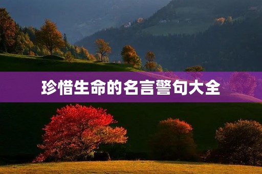 珍惜生命的名言警句大全(珍惜生命的名言警句大全简短) 珍惜生命的名言警句大全(珍惜生命的名言警句大全简短)