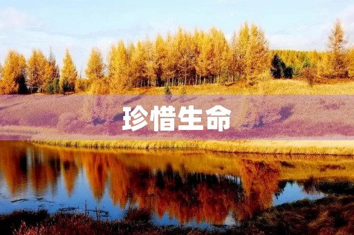 珍惜生命,珍惜每一份情感 珍惜生命,珍惜每一份情感