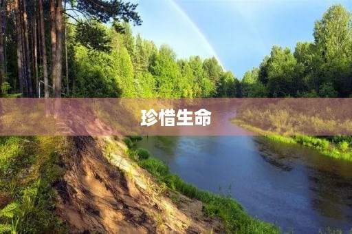 珍惜生命,珍惜每一天 珍惜生命,珍惜每一天